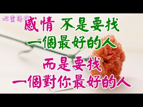 【心靈語坊】 ღ ❣ 感情，不是要找一個最好的人，而是要找一個對你最好的人......♪♬❤  《蝴蝶吻》