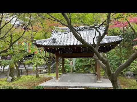 Eikan-dō Temple - Kyoto By Phuot KCT