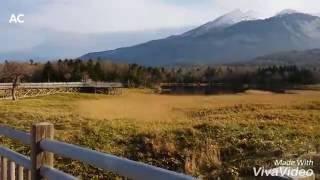 北海道_知床國立公園 (知床五湖高架木道)