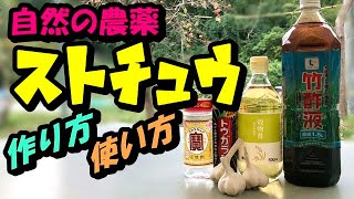 【家庭菜園】無農薬栽培におすすめ【無農薬農薬 「ストチュウ」害虫駆除＋土壌殺菌＋栄養液肥の簡単な作り方】