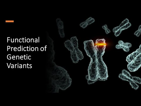 Functional Prediction of Genetic Variants