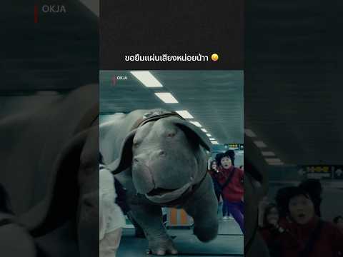 เห็นหมูเด้งแล้วคิดถึงน้อง OKJA 🐽 #OKJA #NetflixThailand #MooDeng #น้องหมูเด้ง