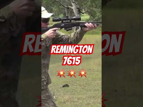 Remington 7615 223 #ozziereviews #remington7615 #remington700 #shooting #rifle #firearms #gun #223