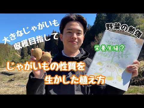 【ジャガイモ栽培】特性を活かした植え方の工夫！