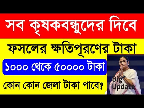 🥰সব কৃষকবন্ধুরা ফসলের টাকা পাবে, বড়ো ঘোষণা মমতার | bangla shasya bima form fill up 2024 #shasyabima