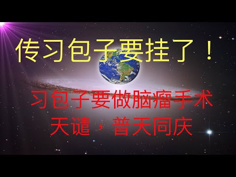 习包子要做脑瘤手术，传习包子要挂了！这可能是2021新年最好的消息！未来人的预言的应验是以这样的形式吗？  #KFK研究院