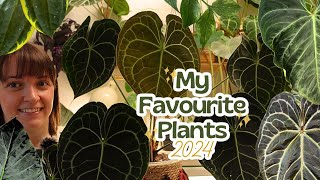 My TOP 10 Favourite Houseplants Of 2024! 🌟 + Care Tips