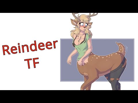 Reindeer Transformation / Reindeer TFTG