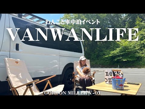 【ハイエース車中泊】愛犬と楽しむ車中泊イベントVAN WAN LIFEに参加してきました🐶🚍🌼ゴードンミラーわんこオフ会 |メッツアビレッジ