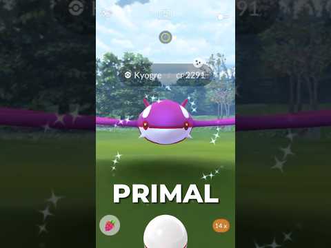 Top Counters for PRIMAL KYOGRE!