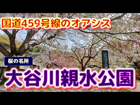 ⭐【国道459号線のオアシス】　大谷川親水公園