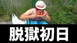 【爆笑】思う存分編集でツッコんだら腹筋崩壊wwww【ドンテンタン散歩・食べ歩き・街ブラ・ツッコミ・グルメ・大食い・ガチャ・1000円ガチャ・コスプレ・大阪】