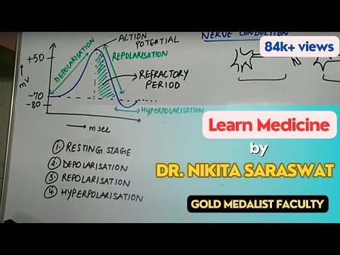 Nerve Conduction & Action Potential - Depolarization, Repolarization, Transmission (Nervous System)