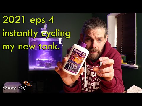 2021 ep4 instantly cycling my tank with DR Tims