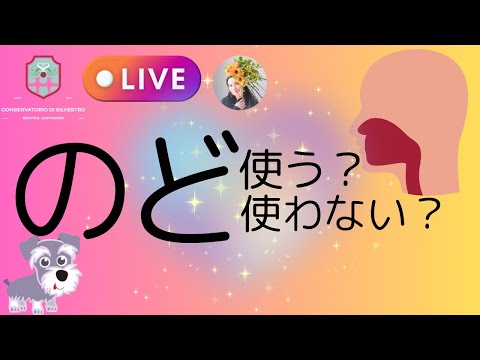 のどを使う？のどを使わない？声がかれない歌い方#声楽レッスン #オンライン声楽レッスン#田川理穂 #声の出し方 #発声練習 #発声#オペラ歌手 #オペラ留学#Silvestro先生#音大受験 #声楽