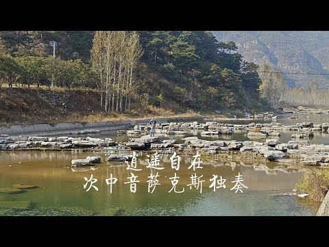 《逍遥自在》邓丽君怀旧金曲次中音萨克斯独奏Saxophone Cover