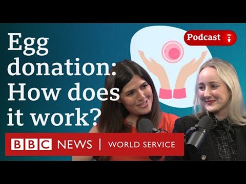 Why young women are donating their eggs - What in the World podcast, BBC World Service