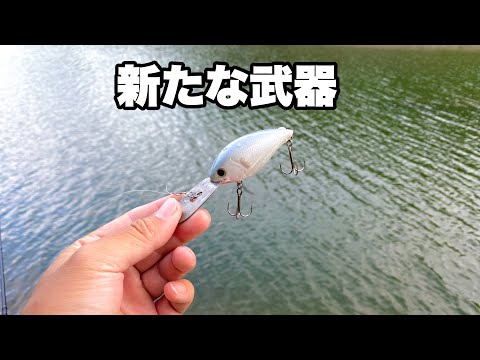 ここ最近どこへ行っても良いバスを釣らせてくれるルアーを紹介します