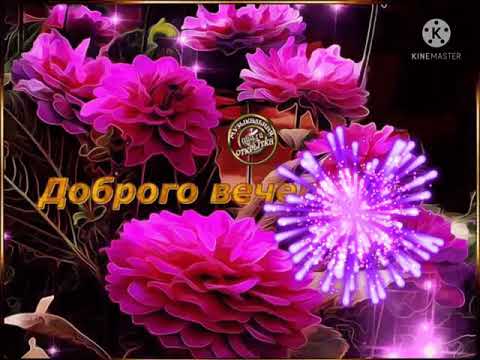 Хорошего вечера и настроения! 🎇🎇🎇🌹🌹🌹💐💐💐