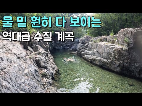 200m길이의 자연수영장에서 나 홀로 스노클링하기