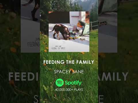 Songs You'll Really Like Part 510: Feeding The Family - Spacey Jane