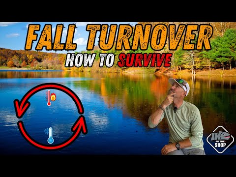 5 Proven Ways to Catch Bass During Fall Lake Turnover! (How to SURVIVE!)