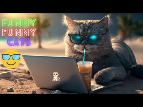 Funny Cat Videos Try Not To Laugh 😹Funniest Cat Videos in The World😺Funny Cat Videos Compilation #73