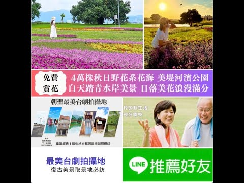 美堤河濱公園親水灣4萬盆草花魅力綻放！優美綠地與基隆河溫柔相依、遠眺台北101及美麗華，自行車租借超方便(全齡/身障友善)