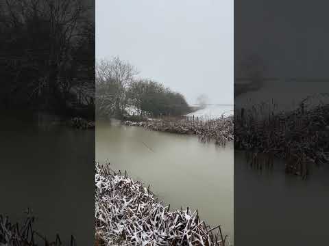 A snowy canal walk #snow #winter #narrowboat #narrowboatliving #boatlife