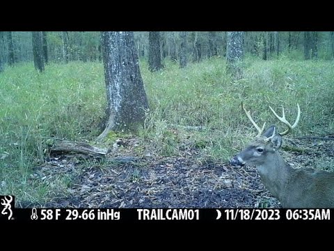 M-Colt Outdoors is live! Public Land Scouting Q+A |  Everything related to Public Land Deer Hunting