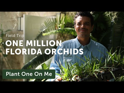 Florida's Ambitious MILLION ORCHID PROJECT — Ep. 342