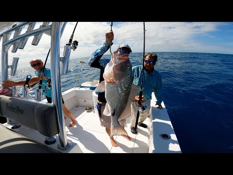 HUGE GROUPER LIMIT IN MY BRAND NEW 33 ONSLOW BAY