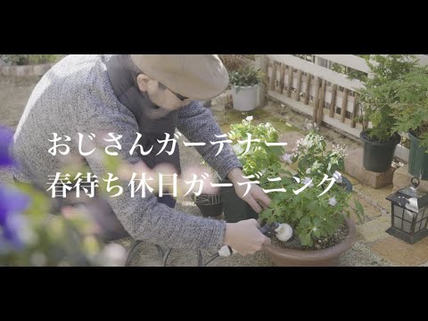 ガーデニング Vlog｜おじさんガーデニング、春準備、休日ガーデンVlog｜冬の水やり｜花壇の修正 〜小さな庭のある暮らし 109〜Gardening ｜ Life in a tiny garden