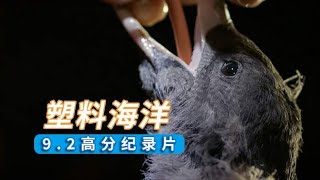 塑料怎样影响海洋生物的？一部既揪心又震撼的纪录片《塑料海洋》