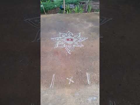 Margali kolam #margalikolam