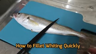 Sea Fishing UK | How to Prepare Whiting For cooking | Filleting Fish