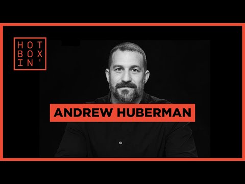 Andrew Huberman, Ph.D., Neuroscience Professor and Researcher | Hotboxin' with Mike Tyson