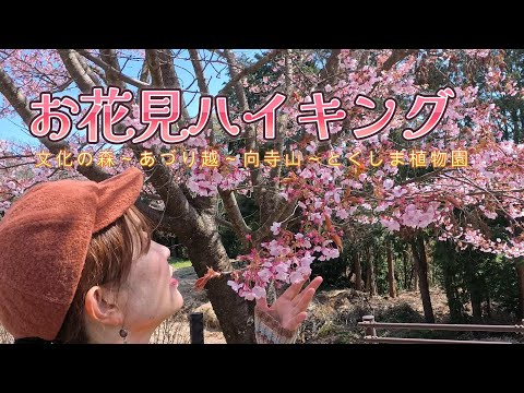 3月　春を探しに、ご近所の里山へ。あづり越を越えて、とくしま植物園へ。蜂須賀桜のお花見してきました。