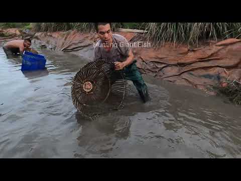 Use A Special Vehicle To Carry A Large-capacity Water Pump To Catch Fish | Hunting Giant Fish