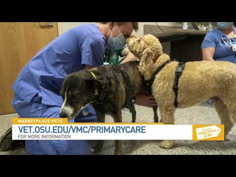 Ohio State University Veterinary Medical Center Spectrum of Care Clinic 080921