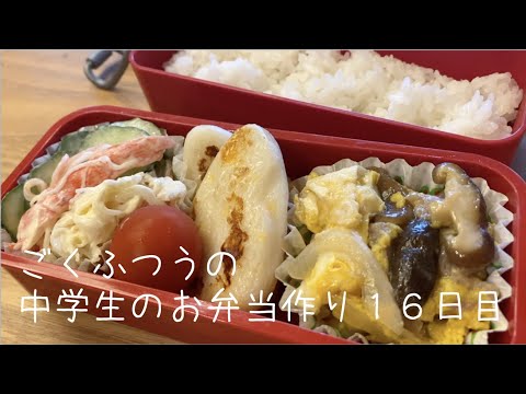 １６日目♫ごく普通の中学生のお弁当づくり♫他人丼♫