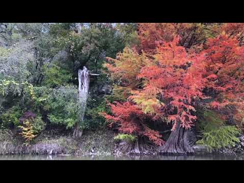 Guadalupe River Bald Cypress, Randy “Windtalker” Motz, Native American Style Flute