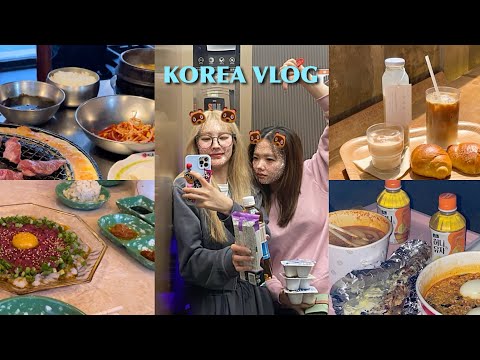 【韓国vlog】女2人で食べまくる韓国旅🇰🇷~韓国タクシーで命の危険を感じるの巻き~🚕🥩🍜