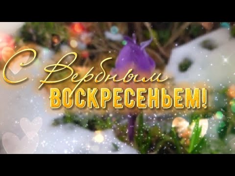 Вербное Воскресенье! Красивое поздравление с Вербным Воскресеньем 2024!