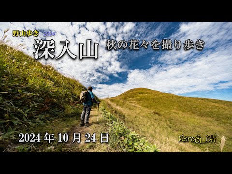 【深入山－秋の花々撮り歩き－】野山歩き2024