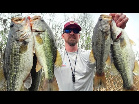 Bass Fishing Santee Cooper | March 2023 | BED FISHING | #bassmasters #FLW मछली पकड़ने