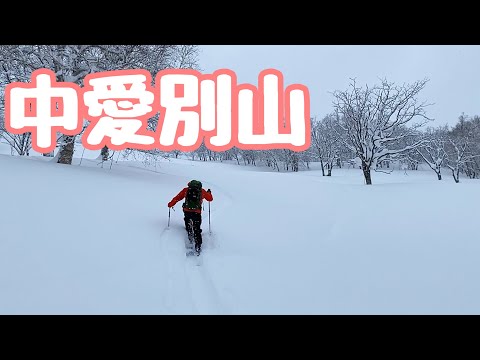 中愛別山   2024 バックカントリー  【北海道雪山登山ガイド】 Backcountry skiing Hokkaido Japan snow Mt.Nakaaibetsuyama