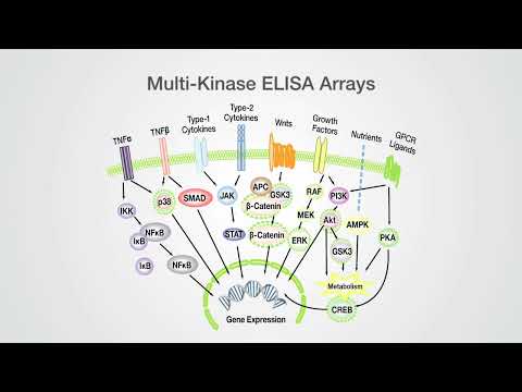 Symansis, Cell Signaling Science™ Product Portfolio