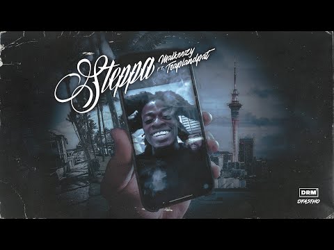 Malkeezy ft Traplandpat - Steppa (Visualizer)