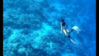 Snorkelling with Sharks and Turtles - Club Med Kani Maldives